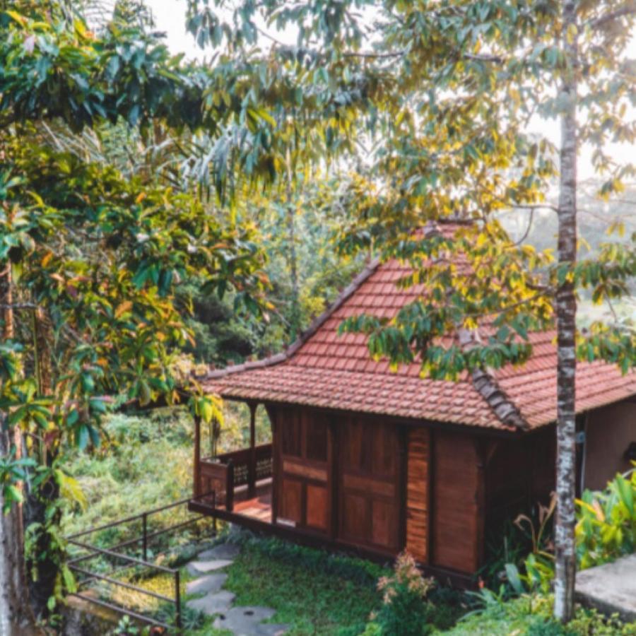 The Jungle Villa Ubud  Luaran gambar