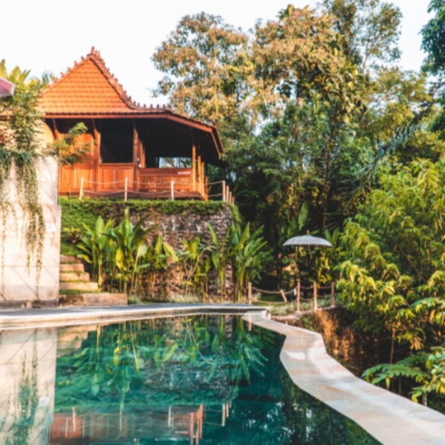 The Jungle Villa Ubud  Luaran gambar