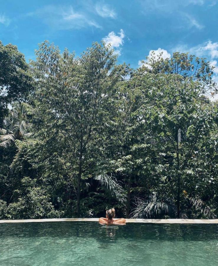 The Jungle Villa Ubud  Luaran gambar
