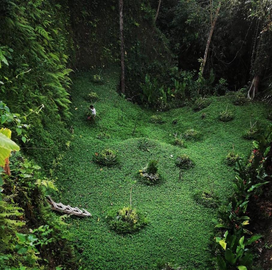 The Jungle Villa Ubud  Luaran gambar
