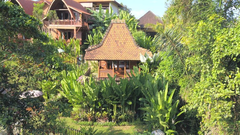The Jungle Villa Ubud  Luaran gambar