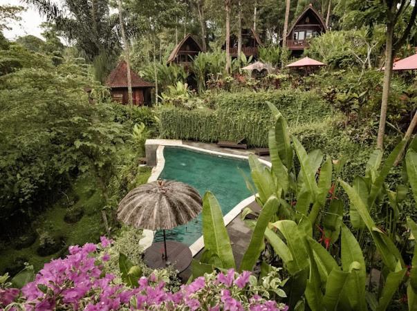 The Jungle Villa Ubud  Luaran gambar