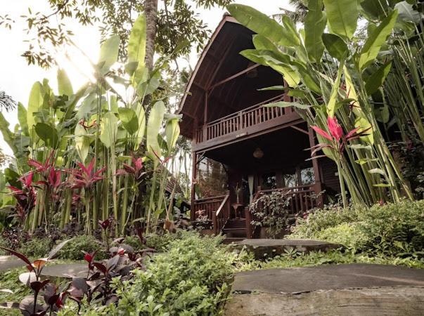 The Jungle Villa Ubud  Luaran gambar