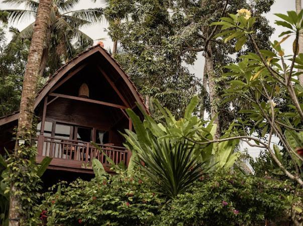 The Jungle Villa Ubud  Luaran gambar