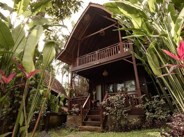 The Jungle Villa Ubud  Luaran gambar