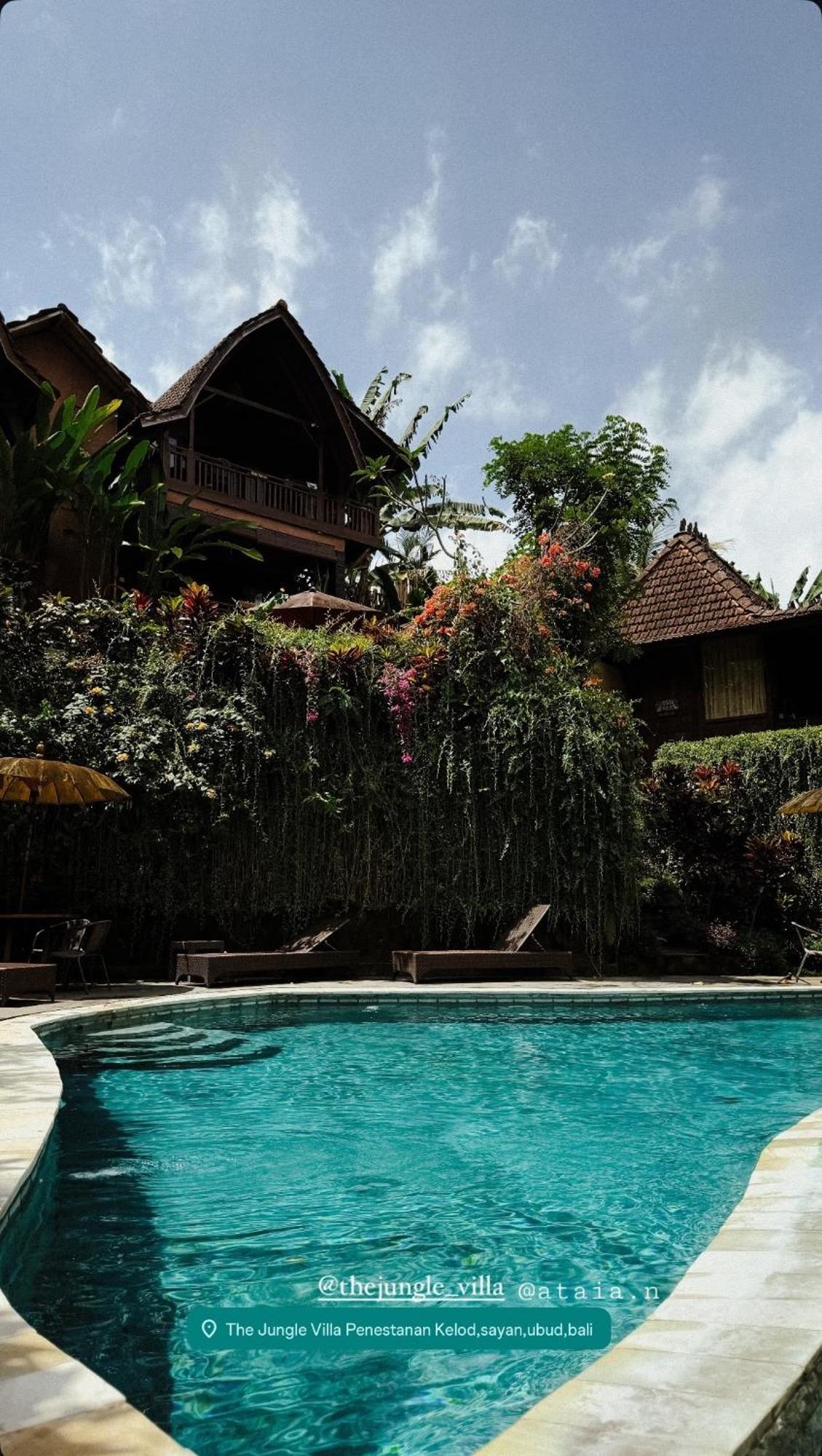 The Jungle Villa Ubud  Luaran gambar
