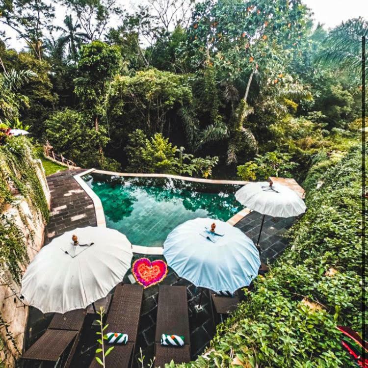 The Jungle Villa Ubud  Luaran gambar